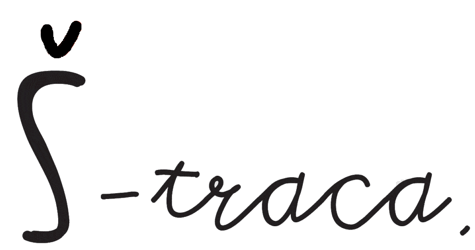 Logo 6